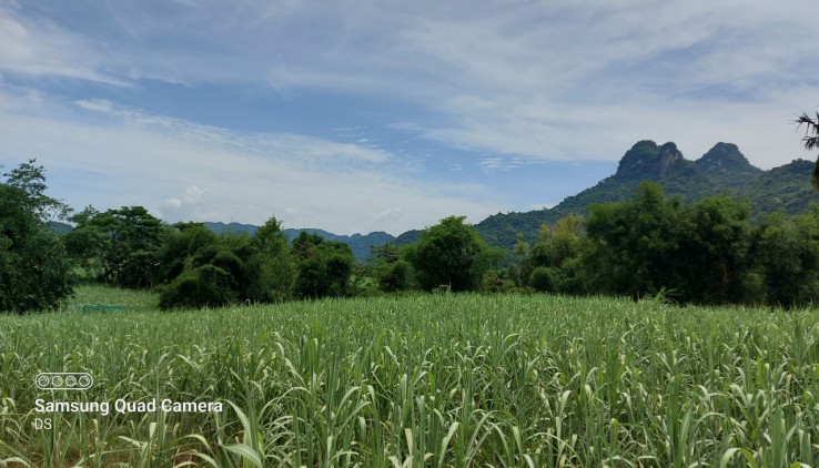 Bán đất Tân Lạc diện tích 3600m có 400m thổ cư thế đất thoải khá bằng phẳng view thoáng rộng